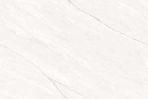 STEEL WHITE VPOL