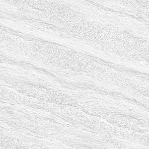 KENNEL SILVER VPDR-P
