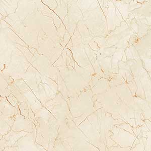 JOHNES BEIGE VMDR