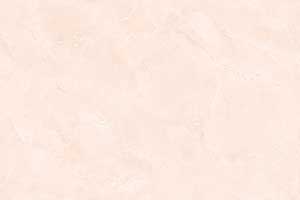 PINK FLORA ENDLESS