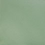 Light Green plus Vitrified Tiles