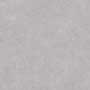 RETAIL-MODERNZ GRIS PLUS MG Vitrified Tiles