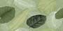 AMELIA AQUA DECOR VRCKR Vitrified Tiles