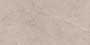 CHAMPION GREY RO REC-P Vitrified Tiles