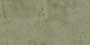 DESERT FOREST VPOL Vitrified Tiles