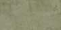 DESERT FOREST VPOL Vitrified Tiles
