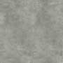 FOSSIL DK GRIS RMPOUC Vitrified Tiles
