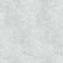 FOSSIL LT GRIS RMPOUC Vitrified Tiles