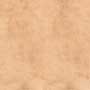 FOSSIL SEPIA RMPOUC Vitrified Tiles