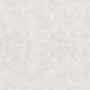 OXFORD GRIS RUS MT REC Vitrified Tiles