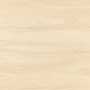 TEAK FEEL RUS MT REC Vitrified Tiles