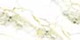 WARSAW PEAR VPOL Vitrified Tiles