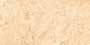 DOON CARAMEL VPOL GVT Tiles