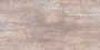 PANSY HAZELNUT VPOL GVT Tiles