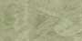 SHARK GREEN VCRV GVT Tiles
