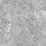 CANFA Ceramic Tiles