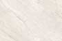 DRY FLOWER BODY GL Ceramic Tiles