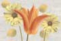 FOUNTAIN HL-1 GL Ceramic Tiles