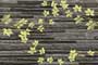 LACKER NERO LEAF GL Ceramic Tiles