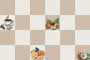 NOURISH HL GL Ceramic Tiles