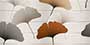 PRIME LEAF HL-1 GL Ceramic Tiles