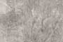 RECENT DK GL Ceramic Tiles