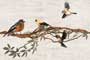 RESTING BIRDS HL-R GL Ceramic Tiles