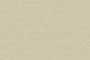 TWEET CHICKS DK GL Ceramic Tiles
