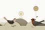 TWEET CHICKS HL GL Ceramic Tiles