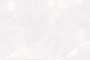 ATHENS BIRCH LT Ceramic Tiles