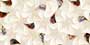 AMARYLLIS HL Ceramic Tiles