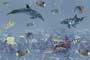 AQUARIA HL2 GDR-P Ceramic Tiles