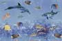 AQUARIA HL2 GDR-P Ceramic Tiles