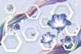BEIBEHANG PURPLE HL GL Ceramic Tiles