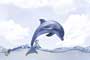 CORAL DOLPHIN HL1 Ceramic Tiles