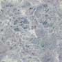 DUSK GL Ceramic Tiles