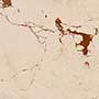 ELISIMO CF MDR-P Ceramic Tiles