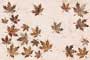 ELISIMO HL GDR-P Ceramic Tiles
