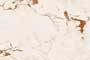 ELISIMO LT GDR-P Ceramic Tiles