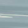 MARISOL OLIVE MDR-P Ceramic Tiles
