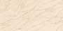 PALM LEAF BASE GL Ceramic Tiles