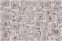 POBLES HL GDR-P Ceramic Tiles