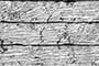 QUARTZWOOD WHITE Ceramic Tiles