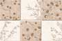 CALLON HL GL Ceramic Tiles