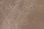 DALTRIX DK GL Ceramic Tiles