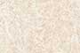 DONZO LT GL Ceramic Tiles