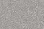EAGEL DK GL Ceramic Tiles