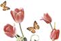 GARDENIA HL2 GL Ceramic Tiles