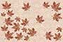 MARS MAPPLE HL GL Ceramic Tiles