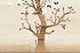 MEDO PARROT HL1 GL Ceramic Tiles